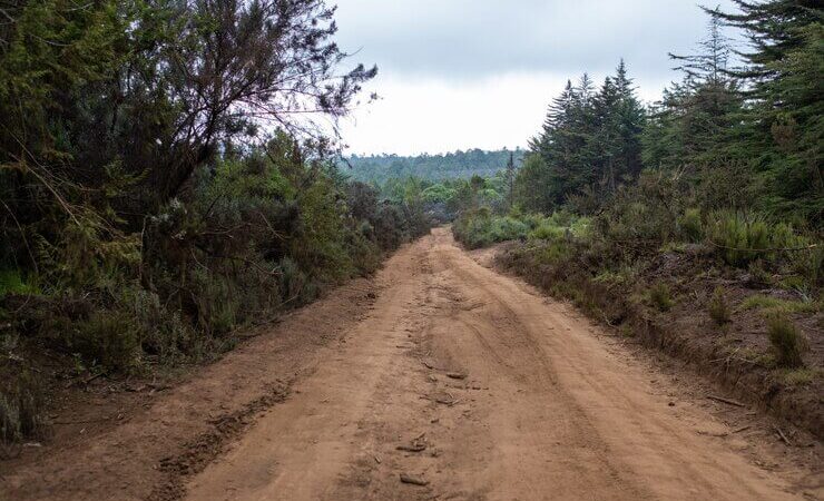 Os diferentes tipos de trilhas para motocicletas off-road