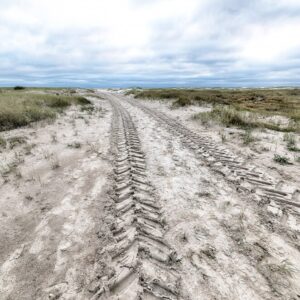Desafio e habilidade: por que as trilhas off road são tão populares?