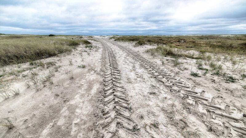 Desafio e habilidade: por que as trilhas off road são tão populares?