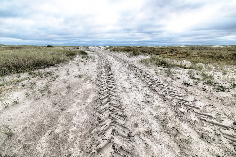 Desafio e habilidade: por que as trilhas off road são tão populares?